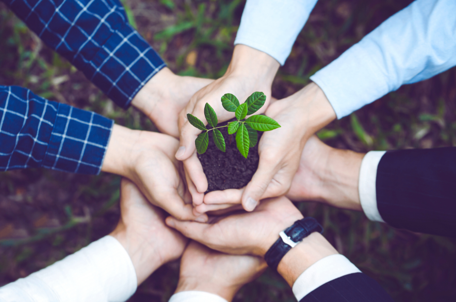 Environmental Education for Sustainability